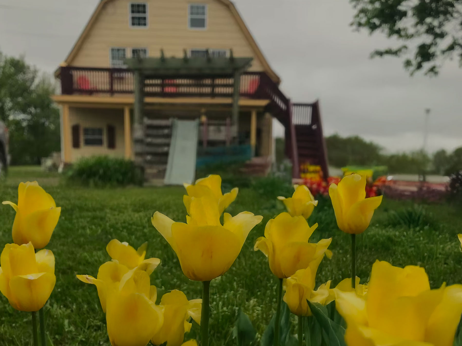 Country Stays, Close to it All